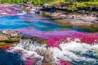 7 Natural Wonders You Can See Only in Summer…