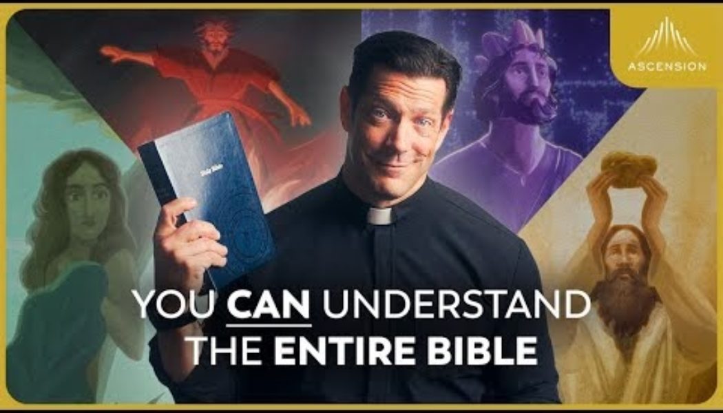 At 392,000 views in 24 hours and counting, ‘The Bible in 10 Minutes’ just became the most viral Father Mike Schmitz video of all time…..