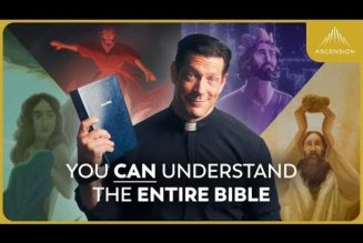 At 392,000 views in 24 hours and counting, ‘The Bible in 10 Minutes’ just became the most viral Father Mike Schmitz video of all time…..