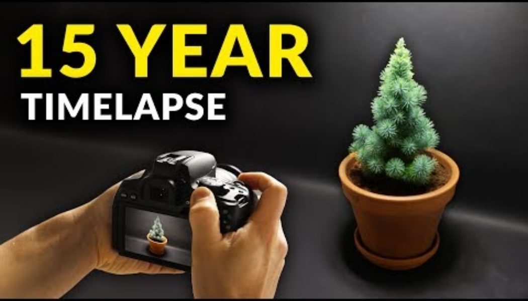 I filmed plants for 15 years. This time-lapse compilation will fill you with wonder and awe…..