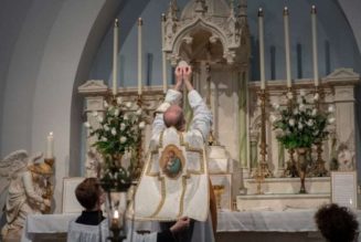 Social scientists take a dive into the data on the Traditional Latin Mass — here’s what it reveals…