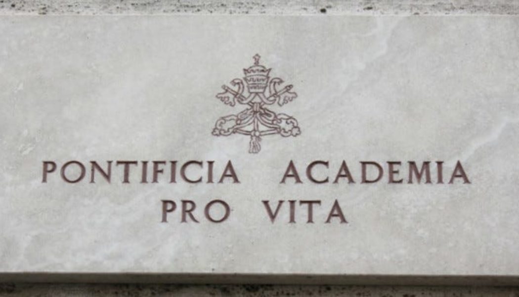 Is the Pontifical Academy for Life really an ‘academy’ at all?