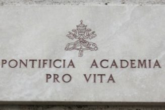 Is the Pontifical Academy for Life really an ‘academy’ at all?