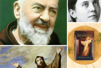 Bearing the Wounds of Christ: 7 Traits Shared by Padre Pio and Other Stigmatists…