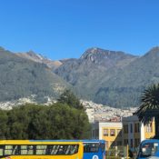 Quito, a Whale Spy, and ‘Sensory Masses’…