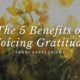 The 5 Benefits of Voicing Gratitude