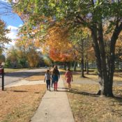 Growing Seeds of Faith in America: Catholicism in ‘A Tree Grows in Brooklyn’…