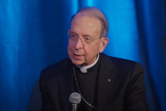 Synodality Requires Conversion of Heart More Than New Structures, US Bishops Say…