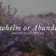 Overwhelm or Abundance?