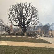 LA Catholic Churches Welcome Wildfire Evacuees; 2,000 Structures Destroyed, Including Corpus Christi in Palisades…